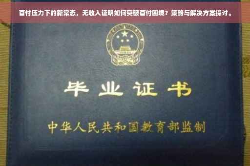 首付压力下的新常态，无收入证明如何突破首付困境？策略与解决方案探讨。