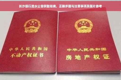 长沙银行流水公章获取指南，正确步骤与注意事项及图片参考