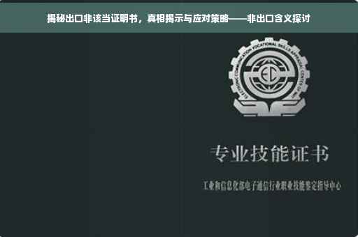 揭秘出口非该当证明书，真相揭示与应对策略——非出口含义探讨
