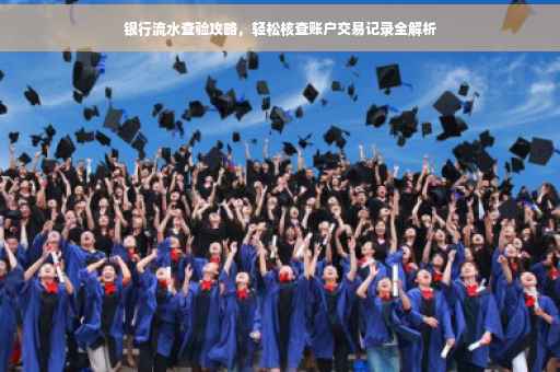 银行流水查验攻略，轻松核查账户交易记录全解析