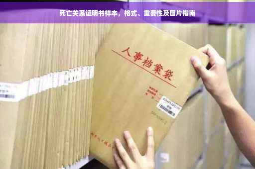 死亡关系证明书样本，格式、重要性及图片指南