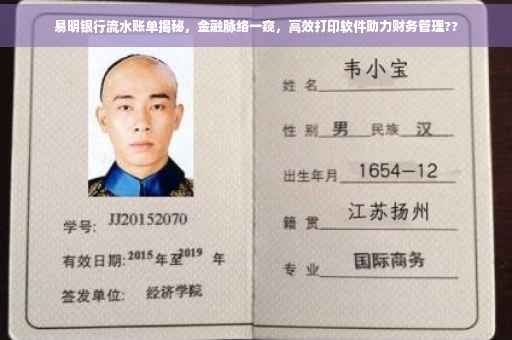 易明银行流水账单揭秘，金融脉络一窥，高效打印软件助力财务管理??