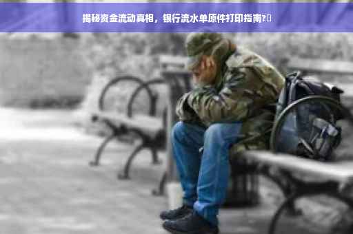 揭秘资金流动真相，银行流水单原件打印指南?✨