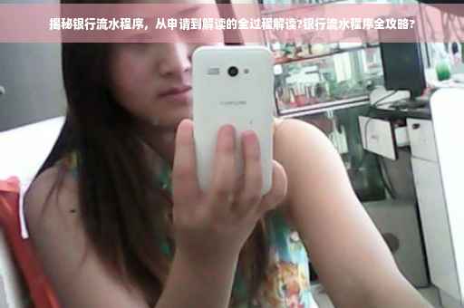 揭秘银行流水程序，从申请到解读的全过程解读?银行流水程序全攻略?