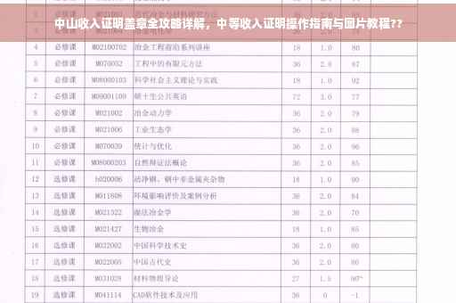 中山收入证明盖章全攻略详解，中等收入证明操作指南与图片教程??