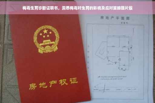梅毒生育诊断证明书，洞悉梅毒对生育的影响及应对策略图片版