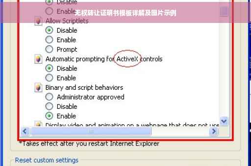 无权转让证明书模板详解及图片示例