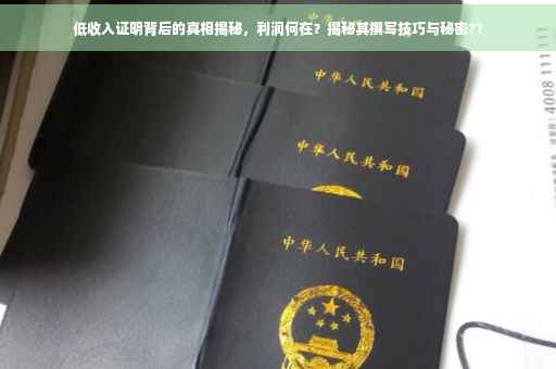 低收入证明背后的真相揭秘，利润何在？揭秘其撰写技巧与秘密??