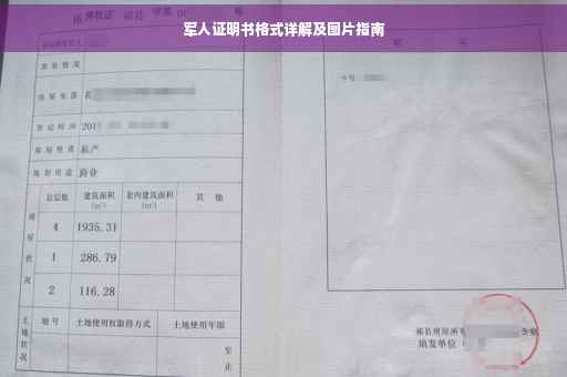 军人证明书格式详解及图片指南