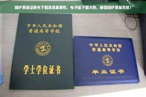 锅炉质量证明书下载及其重要性，电子版下载火热，确保锅炉质量无忧！