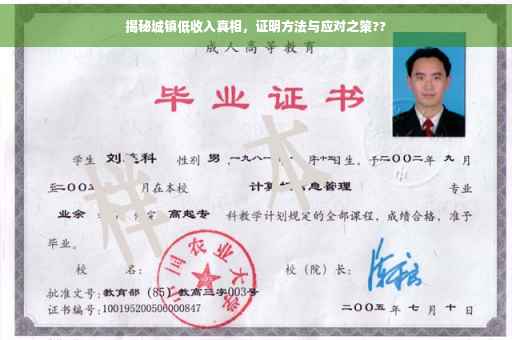 揭秘城镇低收入真相，证明方法与应对之策??
