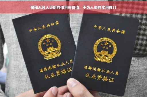揭秘无收入证明的作用与价值，不为人知的实用性??