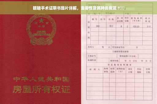 眼睛手术证明书图片详解，重要性及其种类概览 ?⚡️