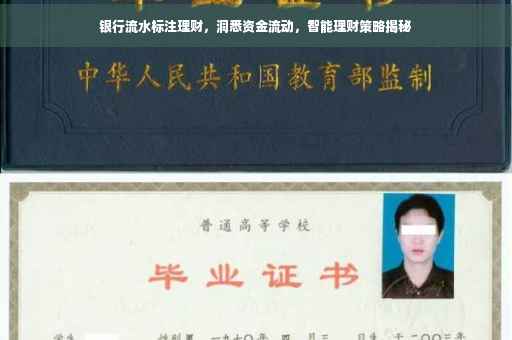 银行流水标注理财，洞悉资金流动，智能理财策略揭秘