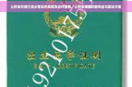 公积金无银行流水背后的真相及应对策略，公积金管理的新挑战与解决方案