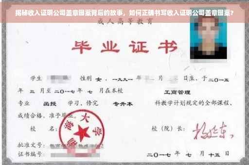 揭秘收入证明公司盖章图案背后的故事，如何正确书写收入证明公司盖章图案？
