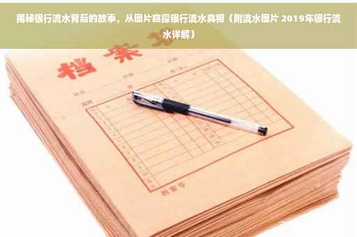 揭秘银行流水背后的故事，从图片窥探银行流水真相（附流水图片 2019年银行流水详解）