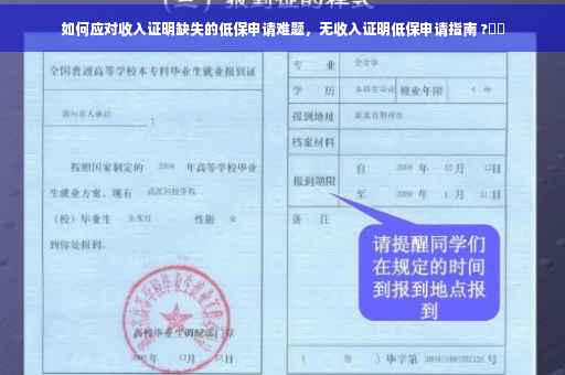 如何应对收入证明缺失的低保申请难题，无收入证明低保申请指南 ?⚡️