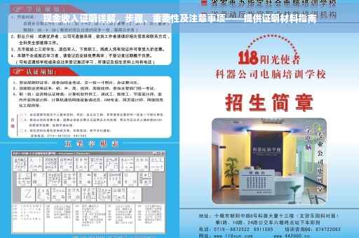 现金收入证明详解，步骤、重要性及注意事项——提供证明材料指南