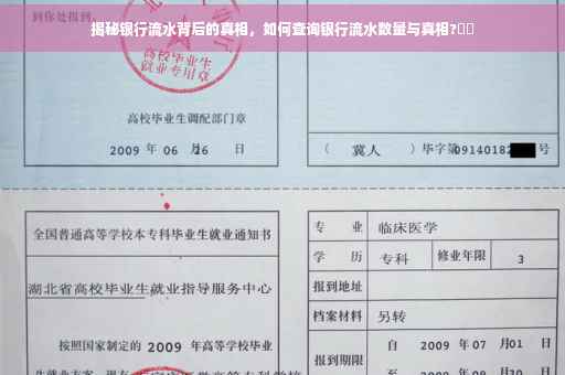 揭秘银行流水背后的真相，如何查询银行流水数量与真相?⚡️