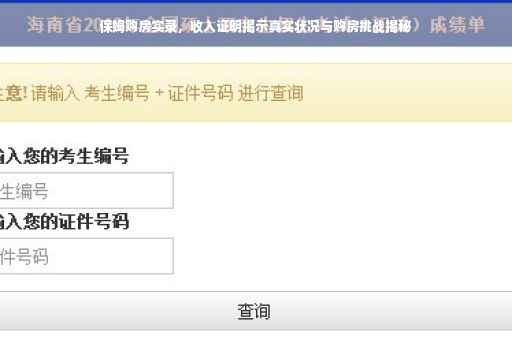 保姆购房实录，收入证明揭示真实状况与购房挑战揭秘