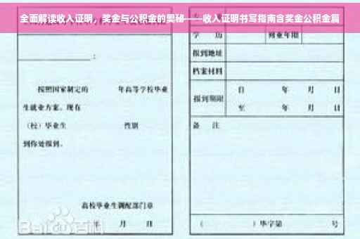 全面解读收入证明，奖金与公积金的奥秘——收入证明书写指南含奖金公积金篇