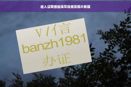 收入证明模板填写指南及图片教程