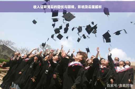 收入证明背后的隐忧与困境，影响及后果解析