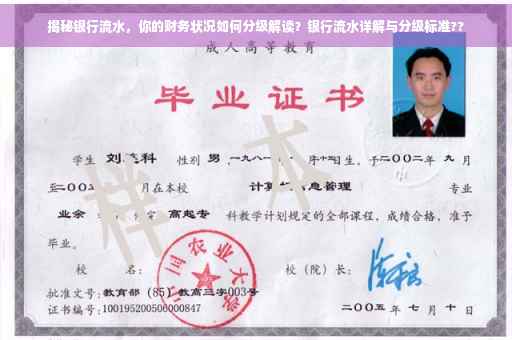 揭秘银行流水，你的财务状况如何分级解读？银行流水详解与分级标准??