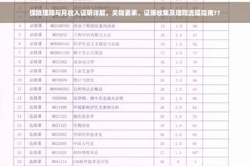 保险理赔与月收入证明详解，关键要素、证据收集及理赔流程指南??