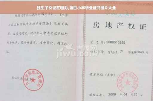 独生子女证在哪办,蓝田小学毕业证书图片大全