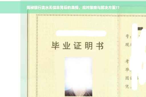 揭秘银行流水无信息背后的真相，应对策略与解决方案??