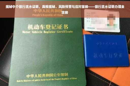 揭秘中介银行流水证明，真相揭秘、风险预警与应对策略——银行流水证明办理全攻略