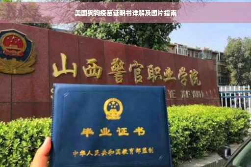 美国狗狗疫苗证明书详解及图片指南