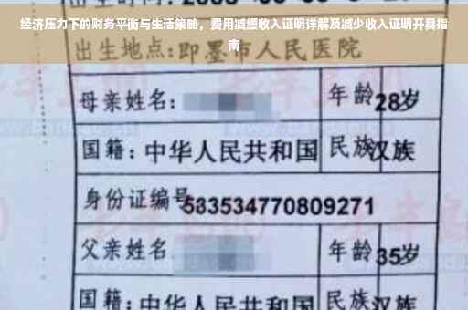 经济压力下的财务平衡与生活策略，费用减缓收入证明详解及减少收入证明开具指南