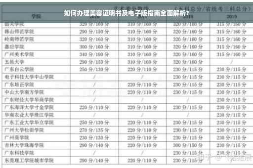 如何办理美容证明书及电子版指南全面解析?