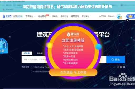 洛阳疫情隔离证明书，城市坚韧抗疫力量的见证者图片展示