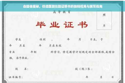 自媒体揭秘，仿造医院住院证明书的独特视角与撰写指南