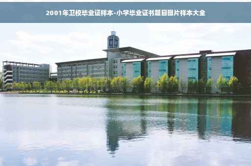 2001年卫校毕业证样本-小学毕业证书题目图片样本大全