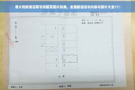 意大利疫苗证明书详解及图片指南，全面解读证书内容与图片大全??✨