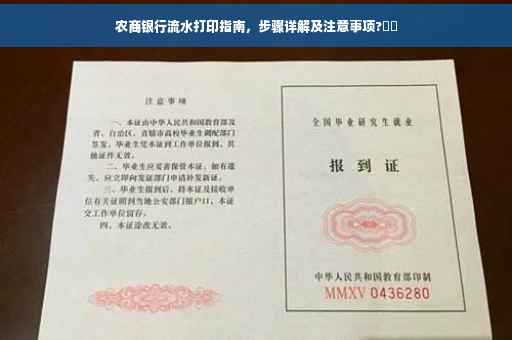 农商银行流水打印指南，步骤详解及注意事项?⚡️