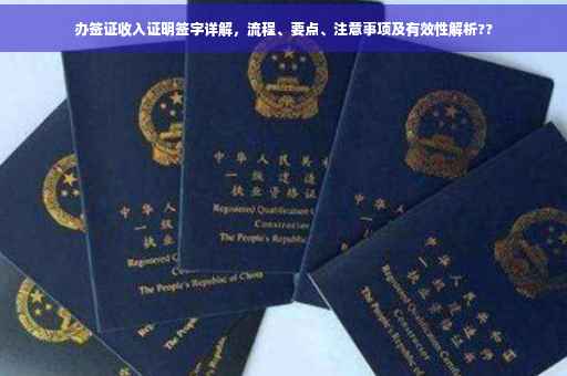 办签证收入证明签字详解，流程、要点、注意事项及有效性解析??