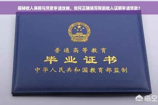 揭秘收入真相与贷款申请攻略，如何正确填写税前收入证明申请贷款？