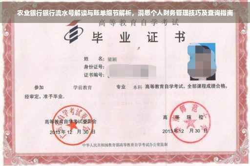 农业银行银行流水号解读与账单细节解析，洞悉个人财务管理技巧及查询指南