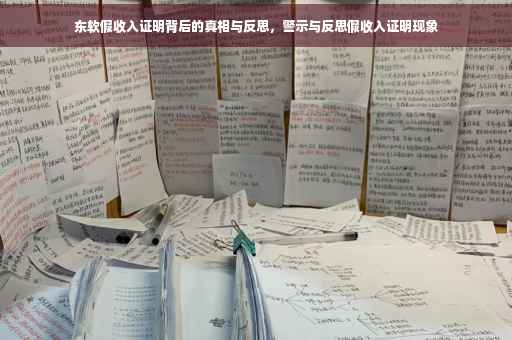 东软假收入证明背后的真相与反思，警示与反思假收入证明现象