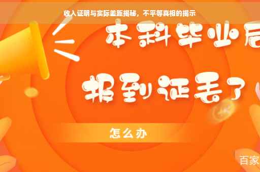 收入证明与实际差距揭秘，不平等真相的揭示