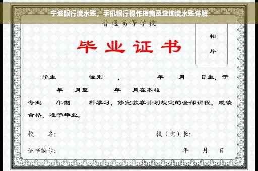 宁波银行流水账，手机银行操作指南及查询流水账详解
