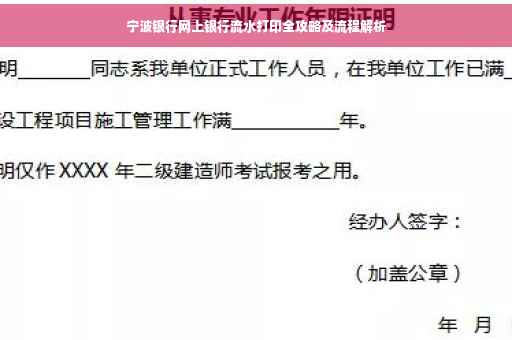 宁波银行网上银行流水打印全攻略及流程解析