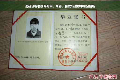 调研证明书撰写指南，内容、格式与注意事项全解析