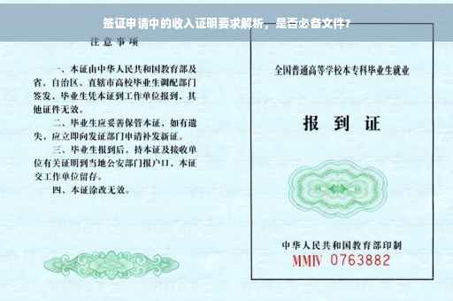 签证申请中的收入证明要求解析，是否必备文件？